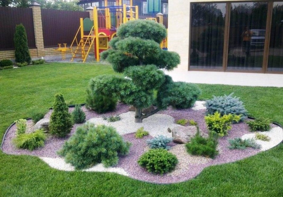 Рокарий хвойники хвойники