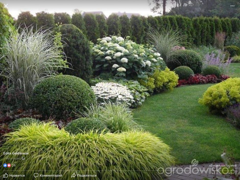 Хвойно Лиственный миксбордер