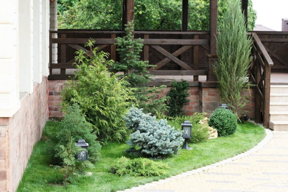 Хвойный рокарий вдоль забора