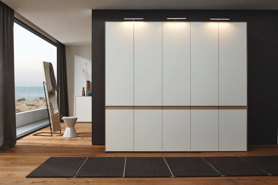 Шкаф-купе Амадеус-12