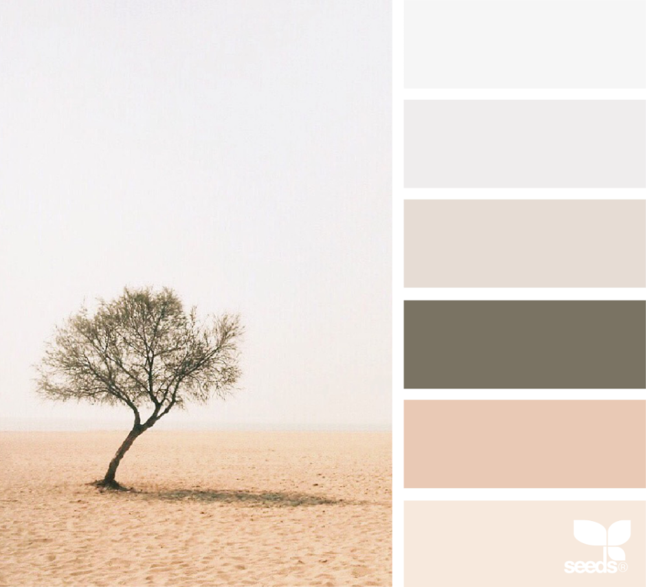 Сканди цветовая палитра