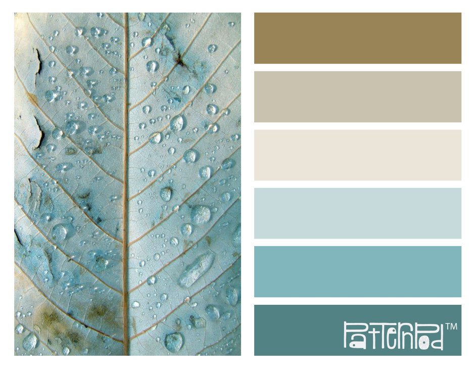 Палитра Seeds серый