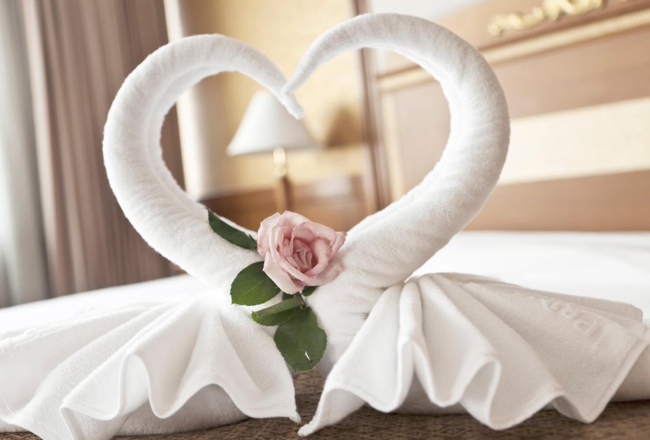 Лебеди лепестки роз