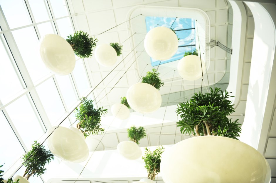 Озеленение потолка