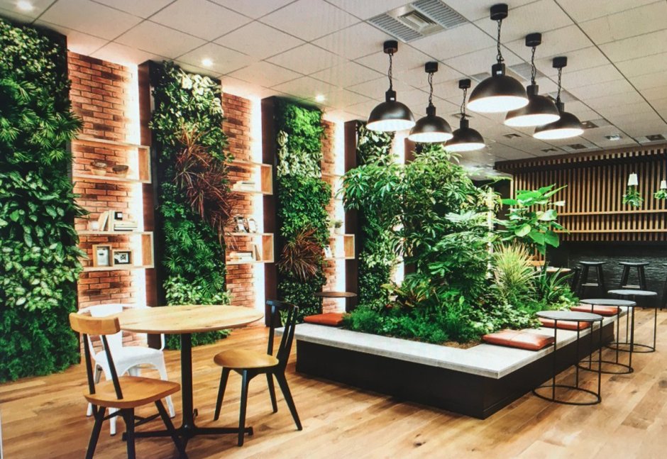 Фитостена в интерьере кухни